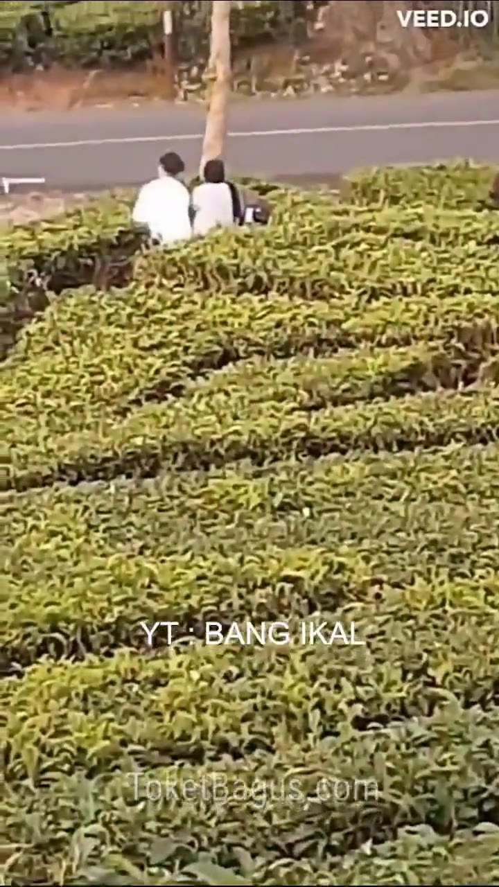 Ciwidey Wanita Bercadar